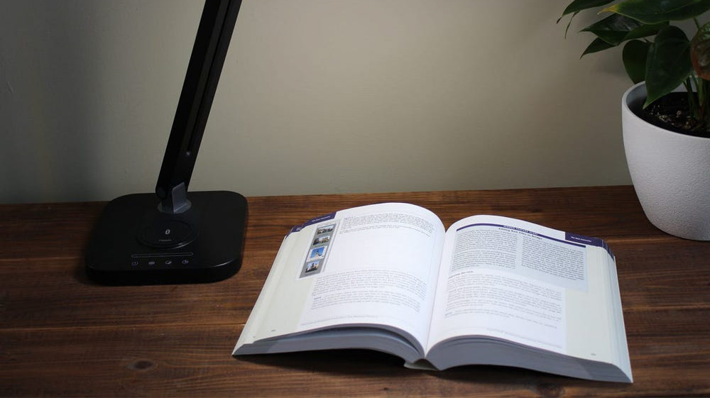 Undergrad Handbook